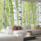 Fototapete 3D Effekt Natur Grüne Zweige 400×280cm,Tapete Fototapeten Tapeten Wandtapete,Birkenstamm Wandbild Wand Schlafzimmer Wohnzimmer