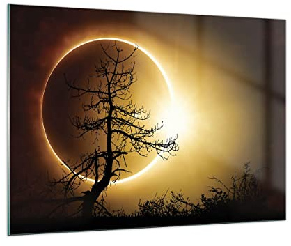 ARTTOR Glasbild 100x70cm Wandbild Glasdruck Weltraum Landschaften - 4349 | Finsternis Sonne Baum Groß Modern Dekoration Wohnzimmer Schlafzimmer Küche Wanddeko Kunstdruck Art Wall Decor ARTTOR