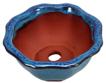 Toyvian Plantas Verdes De Orquídeas Orquídea Puede Olla De La Casa De Campo Maceta Navideña Maceta De Bonsai De Porcelana Jardinera Hidropónica De Cerámica Jardinera De Escritorio Cerámica