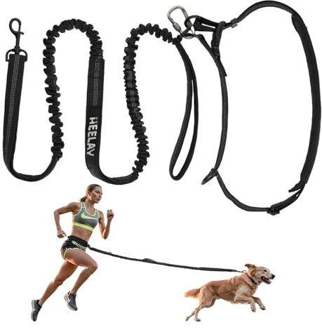 Freihandleine für Hunde mit Hüftgurt, Stoßdämpfende Joggingleine mit Doppelgriff & Reflektierend, Verstellbare Hundeleine zum Joggen, Laufen & Wandern für Mittelgroße Hunde