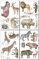 Samunshi® Wandtattoo Safari Tiere Set Wandbilder Kinderzimmer Deko Junge Wandtattoo Kinderzimmer Mädchen Wandsticker Kinderzimmer Aquarell