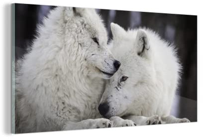 MuchoWow Glasbild Glasfoto Wandbild Bilder Deko 40x20 cm Wölfe - Schnee - Familie