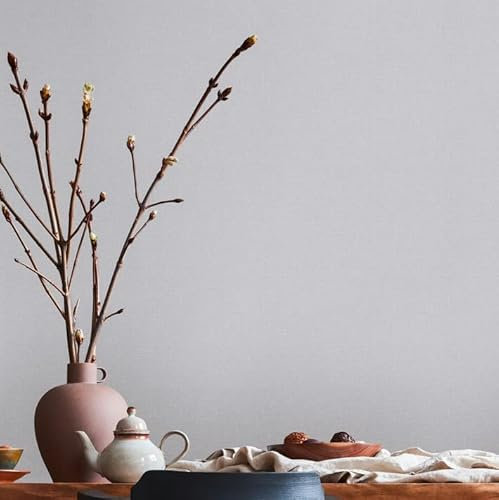 Unitapete Grau - Livingwalls House of Turnowsky 389023 - Einfarbige Tapete Vliestapete - 10,05 m x 0,53 m Made in Germany