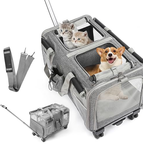 Extra große Haustiertrage mit Zwei Fächern und Rollen für Katze/Hund, Abnehmbarer Faltbar Katzentransportbox für 2 Katzen bis 20kg, Belüftetes Katzen Kucksack Groß für Reisen/Wandern/Camping