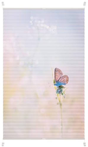 Lichtblick Plissee Blickdicht Tageslicht ohne Bohren Rosa Blau 90 cm x 130 cm (B x L)