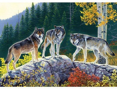 Master Pieces Fall Wolves Jigsaw Puzzle