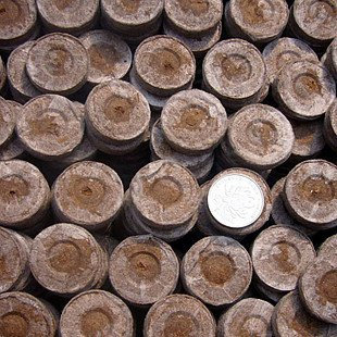 48 unidades/bolsa de 38 mm Jiffy Turba Pellets de arranque de semillas, herramienta de jardín para plantas y semillas, plataforma de inicio de semillas, bloque de tierra para plántulas