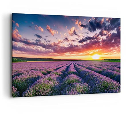 Wandbilder Dekoration Wohnzimmer Lavendel Berge Feld Bilder auf Leinwand 120x80cm Leinwandbild Schlafzimmer Küche Deko Wand Kunstdruck Art Groß XXL Wanddeko Bild Wall Decor Canvas AA120x80-3816