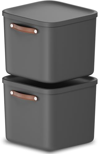 Rotho Maloja Aufbewahrungsbox mit Deckel 2 x 25 L Kunststoff Anthrazit | Aufbewahrungsboxen im 2er-Set, stapelbar, mit passendem Deckel und Trageriemen, modular kombinierbar, einfach zu reinigen