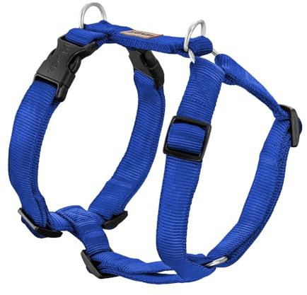 Koch Premium Geschirr Royal Blau L 25mm Gurtbreite. Immer Voll gepolstert, Hundegeschirr 5-Fach verstellbar, verstellbar auch am Bauch