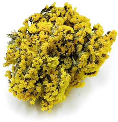 Geflügelter Strandflieder - Limonium sinuatum - Gelb
