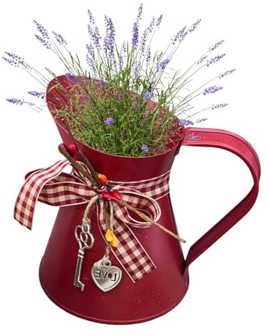 Pitcher Vase, rote rustikale Blumenvase kleine Metallkrug Vase Pflanzer Shabby Chic Milk Krug Vase für die Küchenbaddekoration zu Hause, Krügevase, Blumenvase