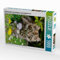 CALVENDO Puzzle Niedliches Maine Coon Kätzchen in Einer Frühlingswiese 1000 Teile Puzzle hoch | 1000 Teile Lege-Größe 48 x 64 cm Foto-Puzzle für glückliche Stunden