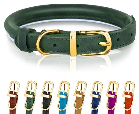 Hundehalsband aus gerolltem Leder - Leder Welpenhalsbänder für kleine Hunde Katzen - Runde Hundehalsbänder für mittelgroße Hunde - Weich Gepolstert (25-33cm, Grün)