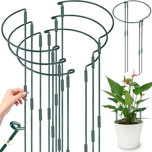 YeahBoom 6 Pezzi Pali di Supporto per Piante,25 × 60cm Regolabili Supporti per Piante Semitondi,Anello di Supporto per Piante,Semitondo Anello di Supporto,per Peonie, Vite, Piante Rampicanti Fiore