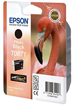 Epson Original Cartucho Inyeccion Fotostift/R1900