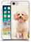 Head Case Designs Sitzender Weisser Pudel Beliebteste Hunderassen Soft Gel Handyhülle Hülle kompatibel mit Apple iPhone 7/8 / SE 2020 & 2022