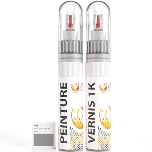 ipixline Kit Retouche Peinture Carrosserie Voiture - Stylo Correcteur Peinture 30 ml, Vernis Brillant 1k 30 ml - Compatible avec Ral - Gris Clair Nacré 9022