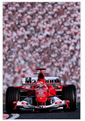FISH DRAGATE Michael Schumacher Leinwand-Poster, Wandkunst, Dekordruck, Gemälde für Wohnzimmer, Schlafzimmer, Dekoration, ungerahmt, 30 x 45 cm