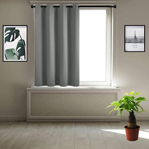 JIAHAO Thermovorhang Kälteschutz 80 x 125 cm Kälteschutz Wämreisolierende Blickdichte Vorhänge Effektive Raumverdunkelung für Fenster Wohnzimmer, Hellgrau