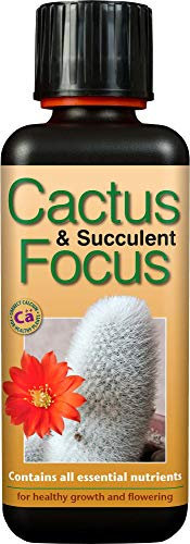 Cactus Focus - Growth Technology 300ml