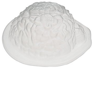 Puddingform Gehirn Halloween Party Deko transparent
