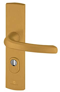 Bricard 9920131 Ensemble de Poignées Blindées sur Plaque EMUST Béquille pour Porte d’Entrée (pour Cylindre Européen), Coloris Or
