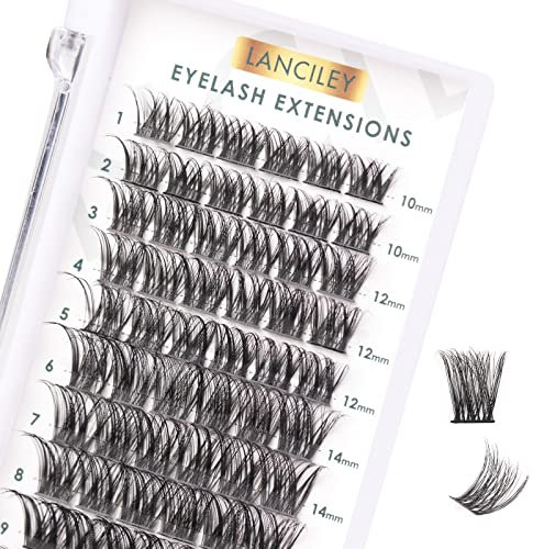 Lanciley Faux Cils Extension Cils 72 Grappes Cluster Lashes Individuels DIY Extension de Cils Naturel Effet 3D Réutilisables Facile à Utiliser Confortable 0.07mm C Curl 10/12/14/15/16mm - L01