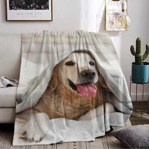 LLTTEER Hund Bedruckt Kuscheldecke, Kinderdecke 3D Druck Tier Hund Flauschige Plüsch Decke,Wohndecke Fleece Tagesdecke Decke TV Decken für Bett Sofa (Dog 01, 150 x 200 cm)