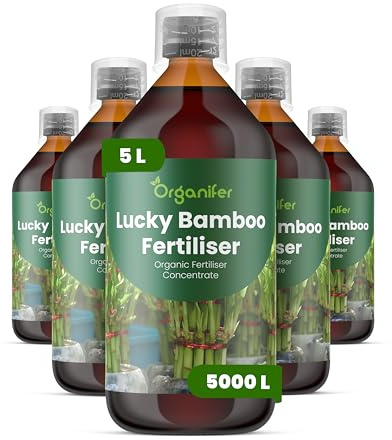 Fertilizzante liquido organico 5x1L per bambù della fortuna – salute ottimale e fogliame verde – Organifer