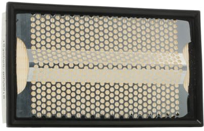 RIDEX 8A0335 Luftfilter mit Schutzgitter Kompatibel mit MERCEDES-BENZ 190 W201 Stufenheck W124 W124 T-modell S124 E-Klasse Limousine W124, SSANGYONG MUSSO FJ