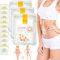 Abnehmen Patch, Abnehmen Schnell Fettverbrenner, 30 Stück Bee Venom Pflaster, Bienengift Lymphdrainage Schlankheitspflaster, Slimming Patch Abnehmen Pflaster für Personen jeden Alters