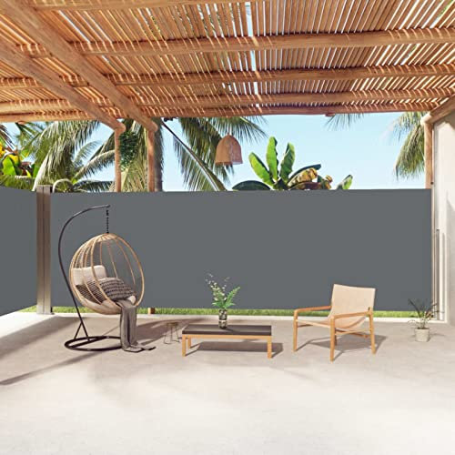 Bulliing Seitenmarkise Ausziehbar Anthrazit 200x1000 cm Sichtschutz Garten Senkrechtmarkise Aussenrolladen Senkrechtmarkise Balkon