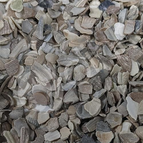 Dihl 1KG Poultry Oyster Shell Grit, High in Calcium, Enhancing Strong Bones, Helps Digestion, Promotes Quality Chicken Hen Eggs, Soluble and Natural, 1 KG