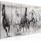 Runa Art Bild Pferde Wandbilder auf Vlies Leinwand 5 Teilig Wanddekoration Wohnzimmer Schlafzimmer 014156c