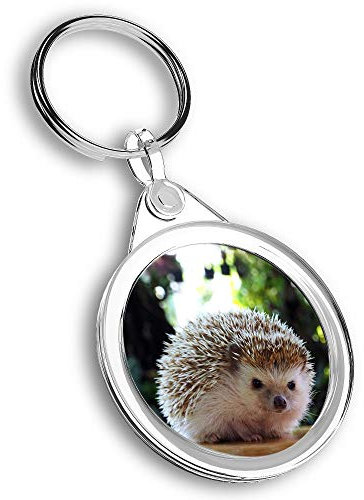 1 x Foto-Schlüsselanhänger – niedliches Igel-Gartentier | Schlüsselanhänger | Anhänger | #44780