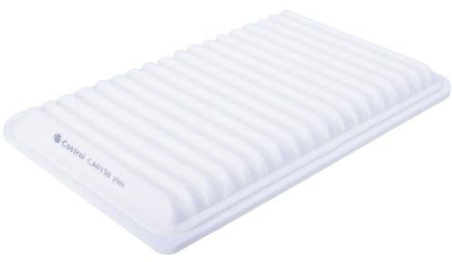 Castrol Filters CA0130 Air Filter