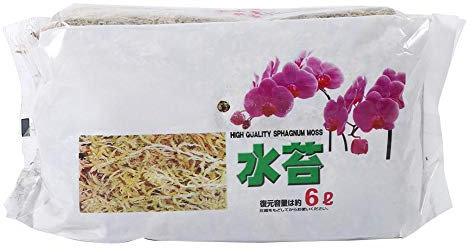Zwindy 6L Sphagnum Moos 20 x 11 cm / 7,9 x 4,3 Zoll Garten Sphagnum Moos Phalaenopsis Sphagnum Moos Trockene Flechte für Blumen Gartenpflanze Phalaenopsis Orchidee