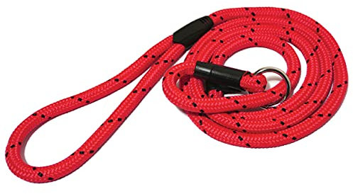 Rosewood Chien Longe Corde Tressée Rouge/Noir