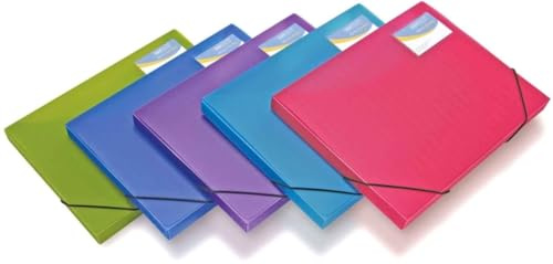 Rapesco 0804 25mm-Ordnungsboxen, A4+, Helle Transparente Farben, 5 Stück | Leuchtende, transparente Farben