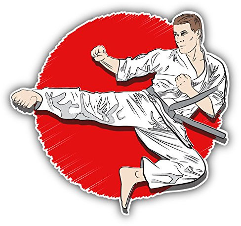 Karate Fighter Kick Hochwertigen Auto-Autoaufkleber 12 x 12 cm