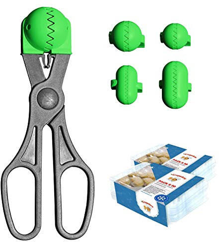 La Croquetera Pack- Utensilio multiusos color verde - 4 moldes intercambiables para masas + Pack 40 Bandejas conservación - 100% español : patentado y fabricado en España