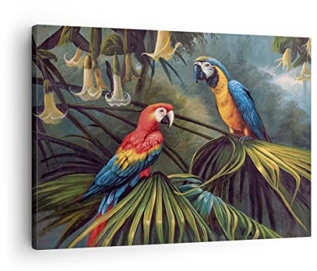 Bilder auf Leinwand Ara Papageien Palmen Leinwandbild mit Rahmen 70x50cm Wandbilder Dekoration Wohnzimmer Schlafzimmer Küche Deko Klein Wanddeko Bild Wand Kunstdruck Art Wall Decor Canvas AA70x50-4780
