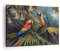 Bilder auf Leinwand Ara Papageien Palmen Leinwandbild mit Rahmen 70x50cm Wandbilder Dekoration Wohnzimmer Schlafzimmer Küche Deko Klein Wanddeko Bild Wand Kunstdruck Art Wall Decor Canvas AA70x50-4780