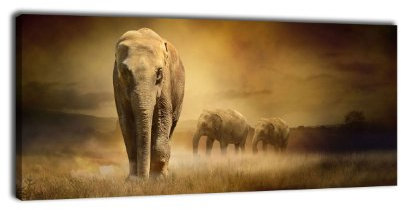 wandmotiv24 Leinwandbild Panorama Nr. 190 Steppenelefant 100x40cm, Keilrahmenbild, Bild auf Leinwand, Elefanten Afrika Steppe