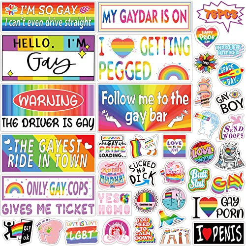 76 Stück originelle lustige Gay Streich Stoßstangen-Aufkleber, lustige LGBT-Aufkleber für Autos, Motorrad, LKW, Fahrzeuge, Gepäck, lustige Aufkleber für Erwachsene, lustige Stoßstangen-Aufkleber