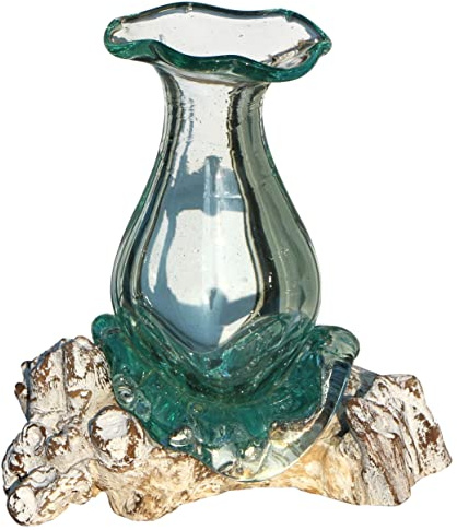 Wogeka - Glas Vase Athena in Wurzel-Holz Gamal - im modernen Style aus Holz als Geschenk-Idee zu Weihnachten Geburtstag Dekoration (Athena 20w)