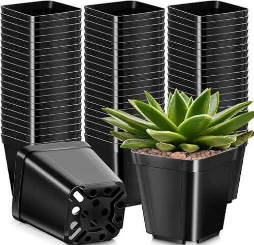 KAHEIGN 50 Pezzi Vasi per Piante Quadrati, 10CM Vasi da Fiori in Plastica Spessa Fioriera Succulenta Vasi da Vivaio con Fori di Drenaggio per Piccole Piante in Vaso (Nero)