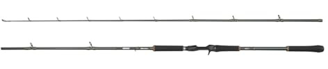 Abu Garcia Beast X Casting Rod, Süßwasserangler Angeln Hecht & Zander, Starkes Leichtgewicht & Vielseitig, Grün, 2.44m Moderat Schnelle Beidhändige Rute