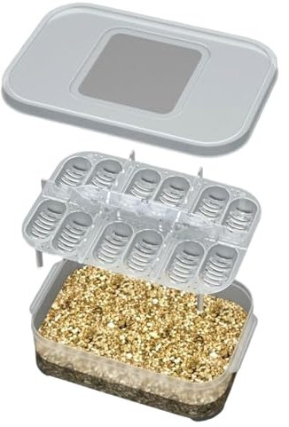 Incubatrice trasparente per uova, 12 griglie, vassoio incubatore per uova di serpente, scatola per allevamento di rettili, scatola per l'alimentazione di ragni per drago barbuto, lucertola, ,